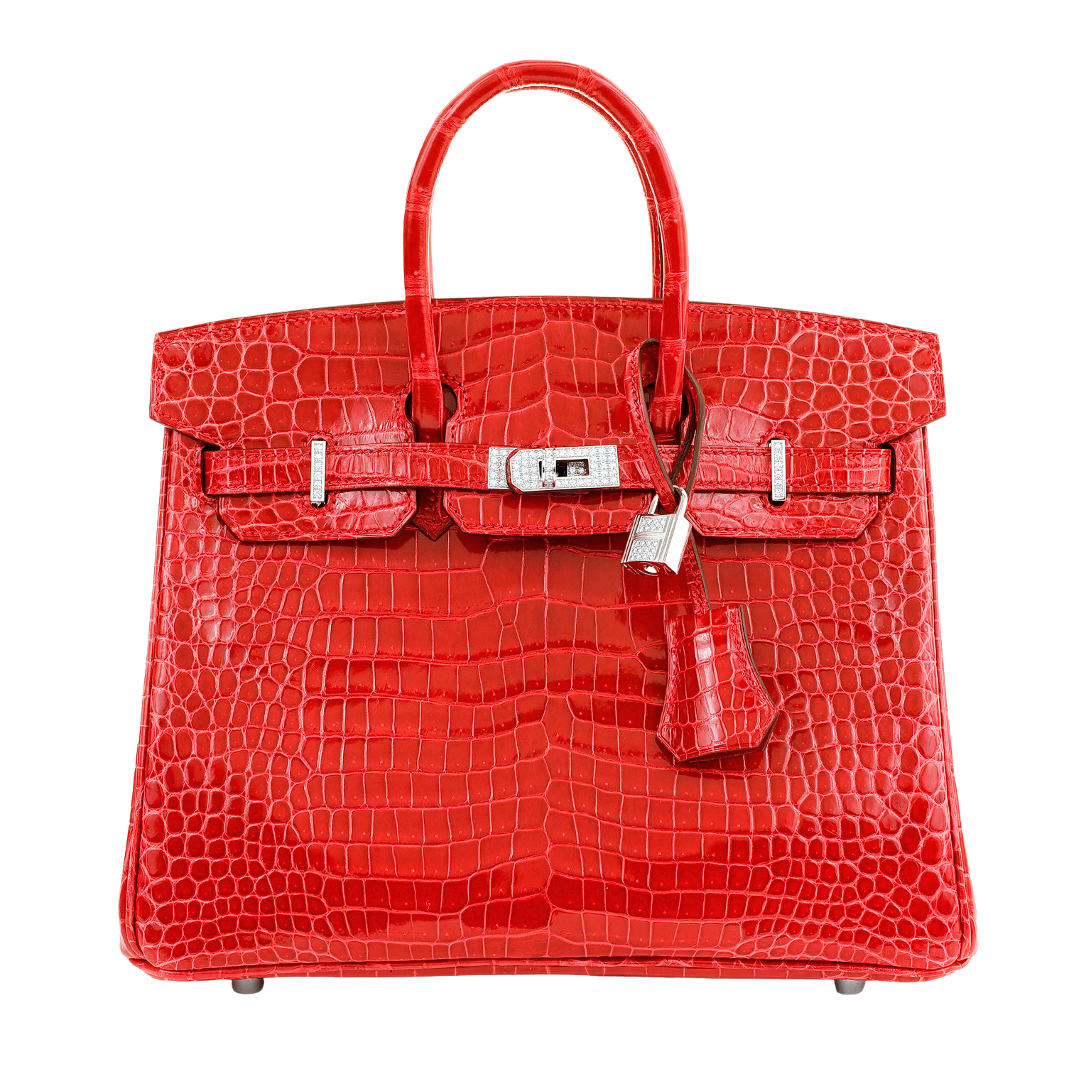 Hermes Birkin rarest limited edition bags ever - Luxuriate Life Magazine